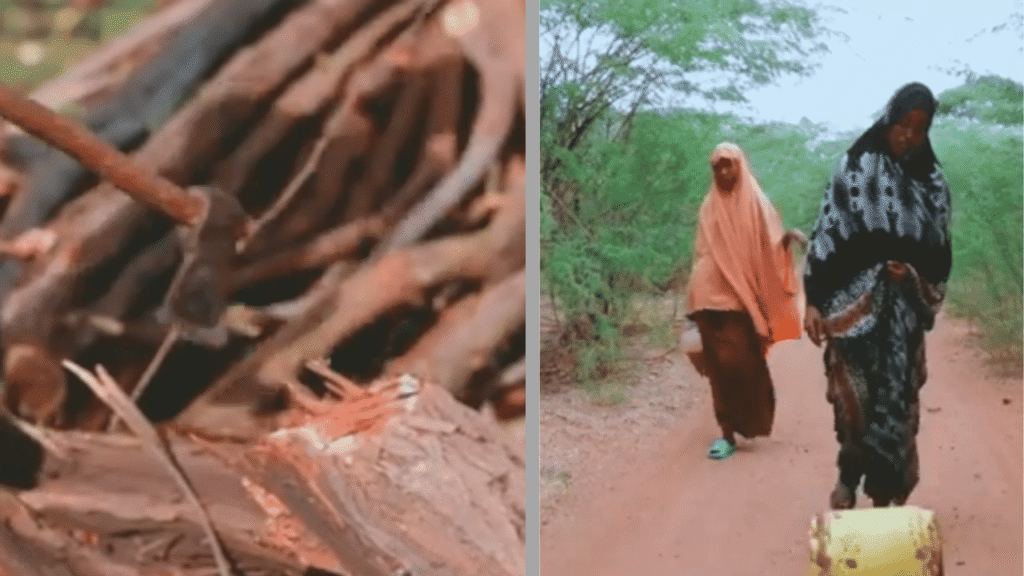 Photo 1: A dry landscape in Garissa County.
Photo 2: A water container beside dry bushland.