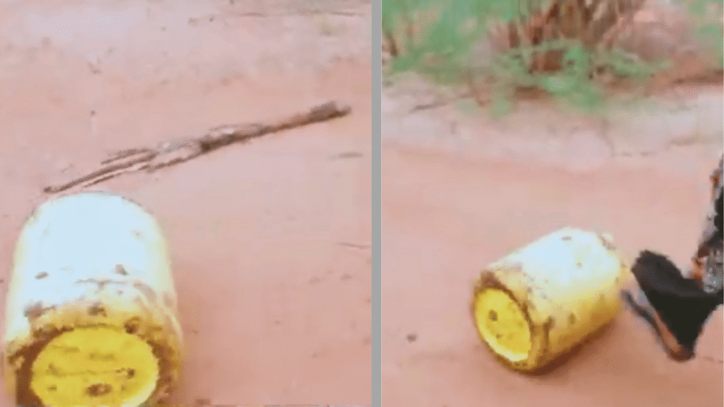 Photo 3: A water container on a dusty path.
Photo 4: A water container near a rural footpath.