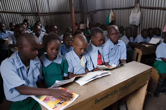 Primary school learners in uniform sitting at wooden desks reading books in a classroom under the Basic Education Bill 2026.