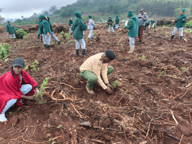 Why Nyeri Residents Planted Thousands of Trees on Mazingira Day