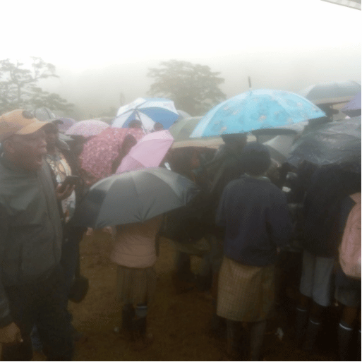 Nyeri residents carrying umbrellas in foggy weather during a Mazingira Day tree planting event in Hombe Forest